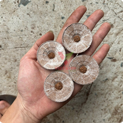 Gần 900 đường ở TP HCM đủ điều kiện 'cho thuê' vỉa hè 1