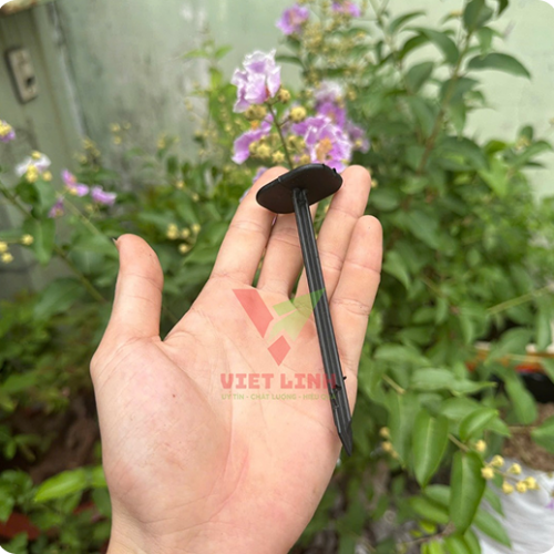 Gần 900 đường ở TP HCM đủ điều kiện 'cho thuê' vỉa hè 2