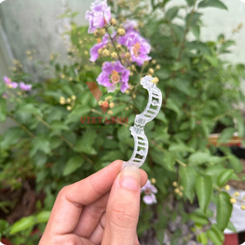 Gần 900 đường ở TP HCM đủ điều kiện 'cho thuê' vỉa hè